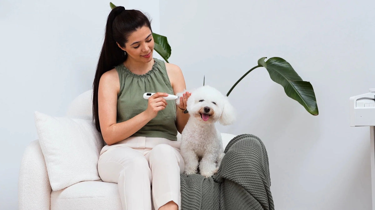 Pets are family.