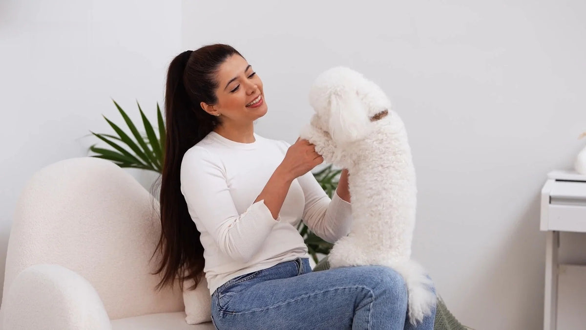 Watch the Grooming Kit in action